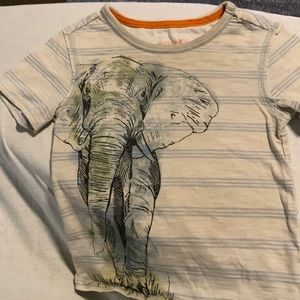 Elephant shirt